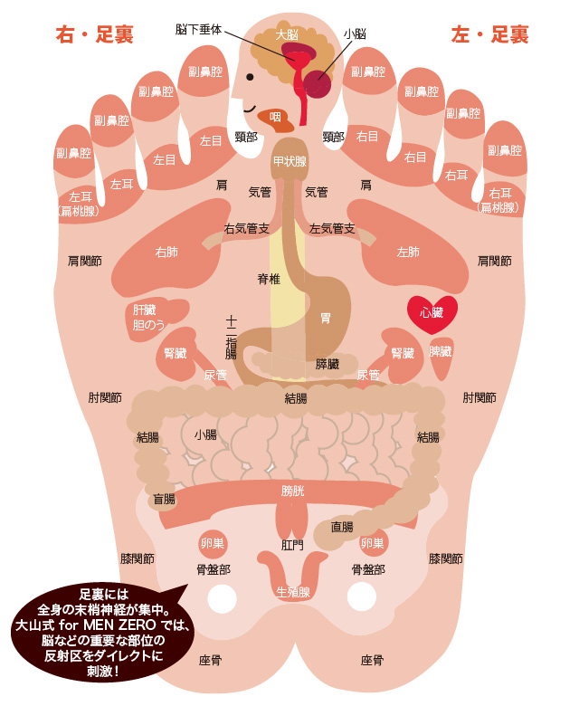 足裏にある反射区を歩くだけでマッサージ